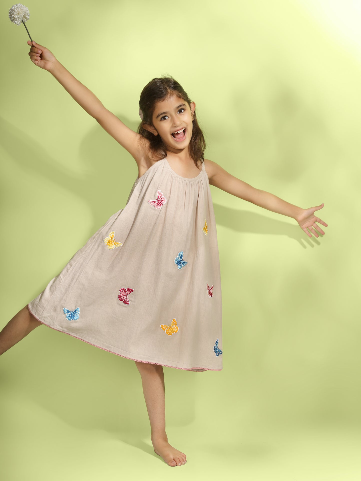 Jiyara Butterfly Embroidered Dress