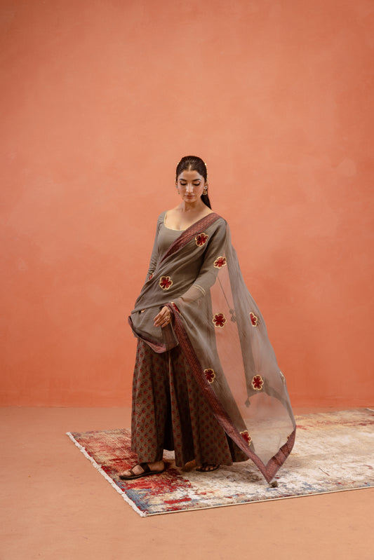 Silver Mist Sharara Sleeved Set