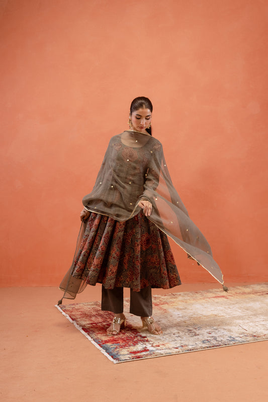 Silver Mist Sleeved Anarkali Suit
