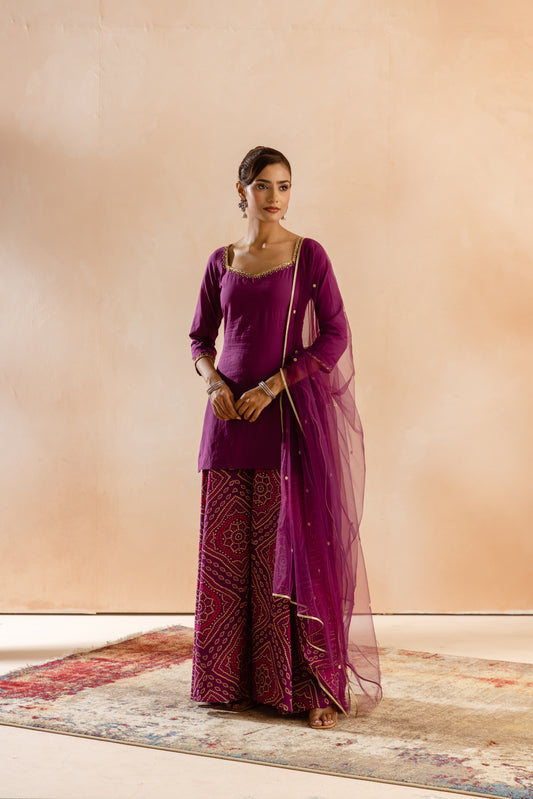 Jamun Sleeved-The Flare (Purple)