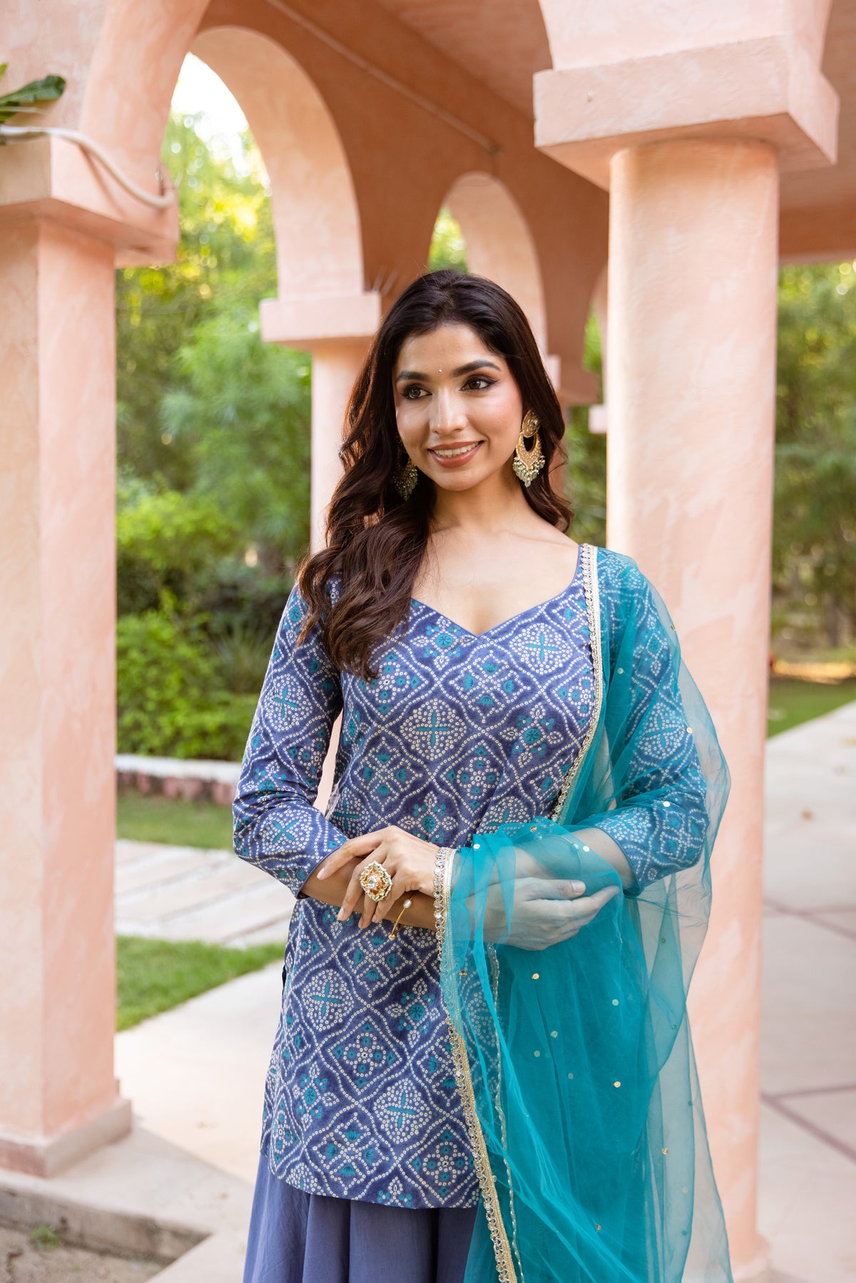 Neel Sleeved - Printed Sharara Set (Blue)