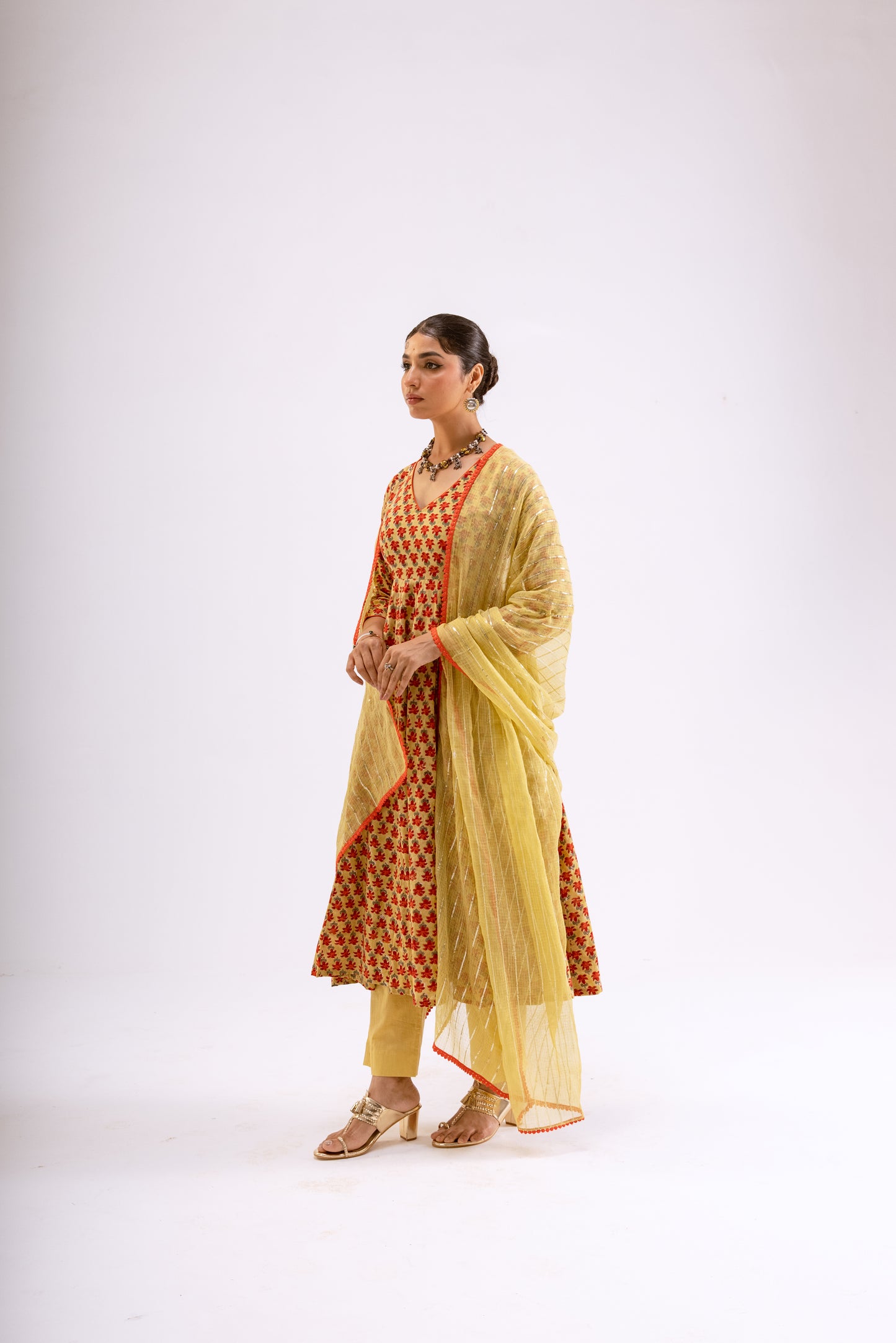 Zari Gold Butti - Sleeved